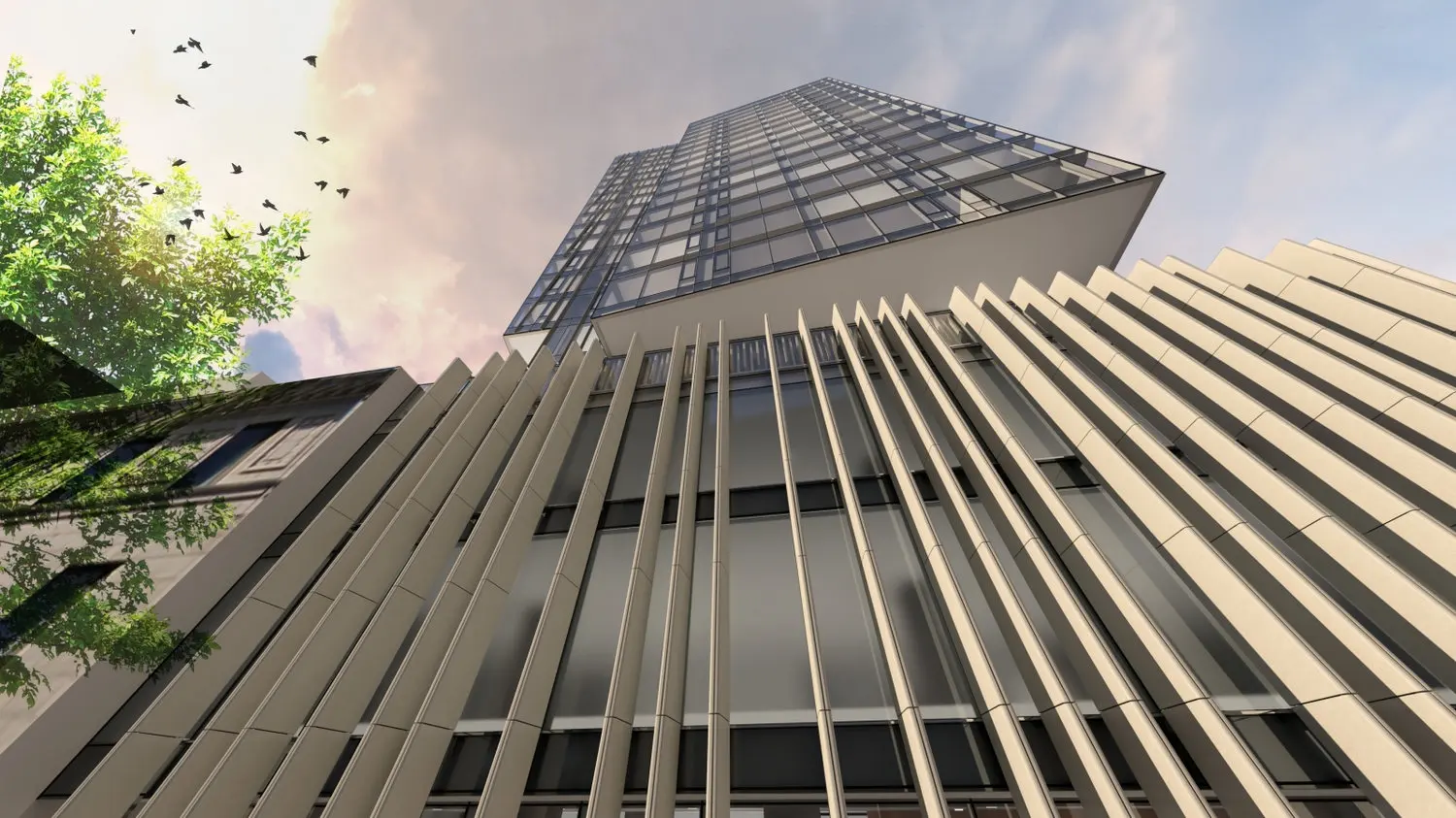 Imperia — 5